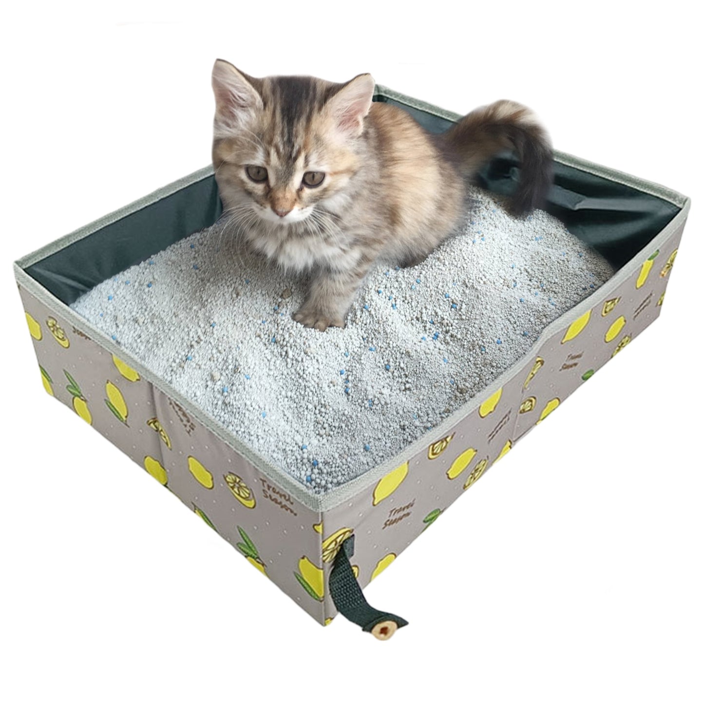 Collapsible Cat Litter Box