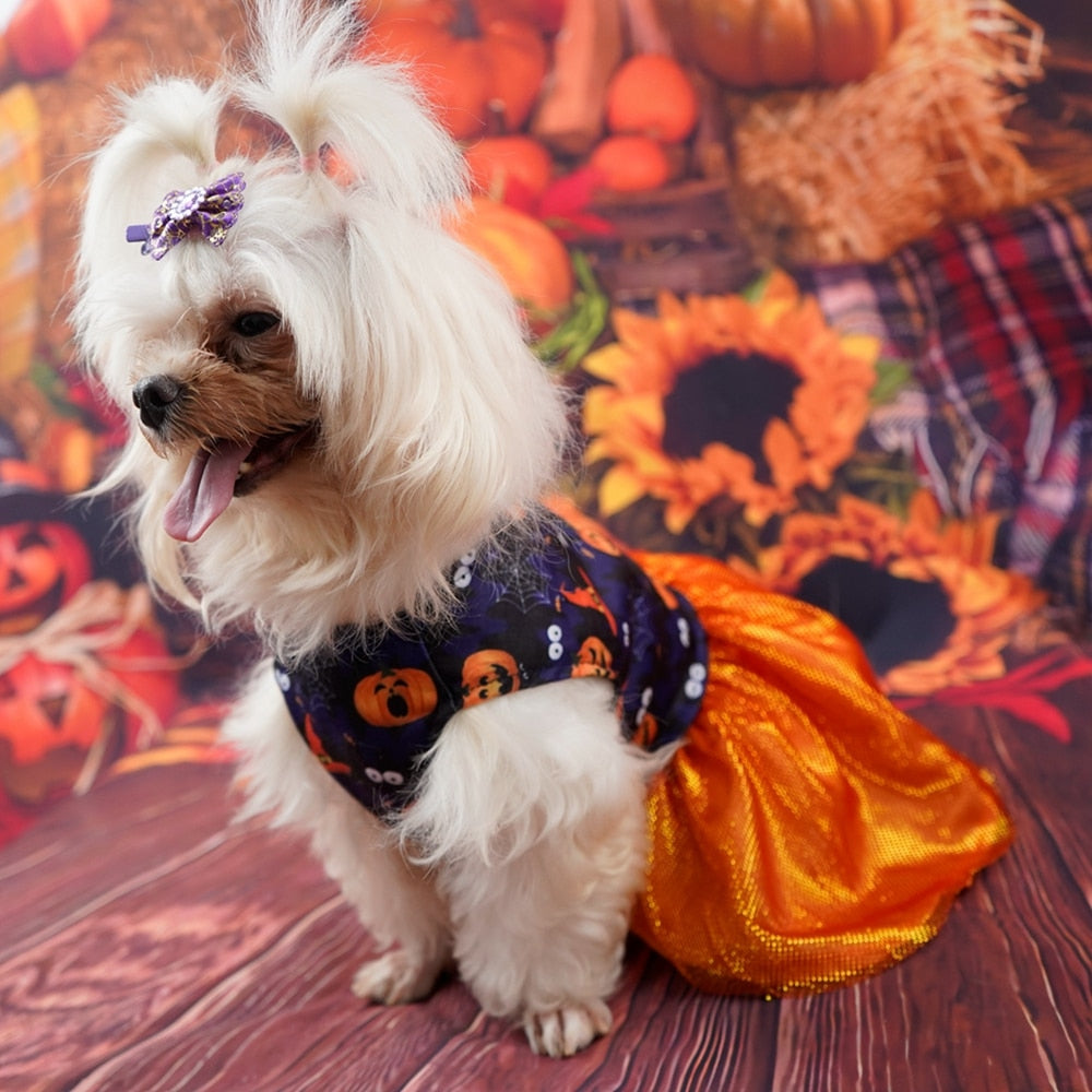 Pet Halloween Dress