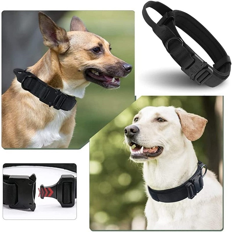 Durable Tactical Dog Collar