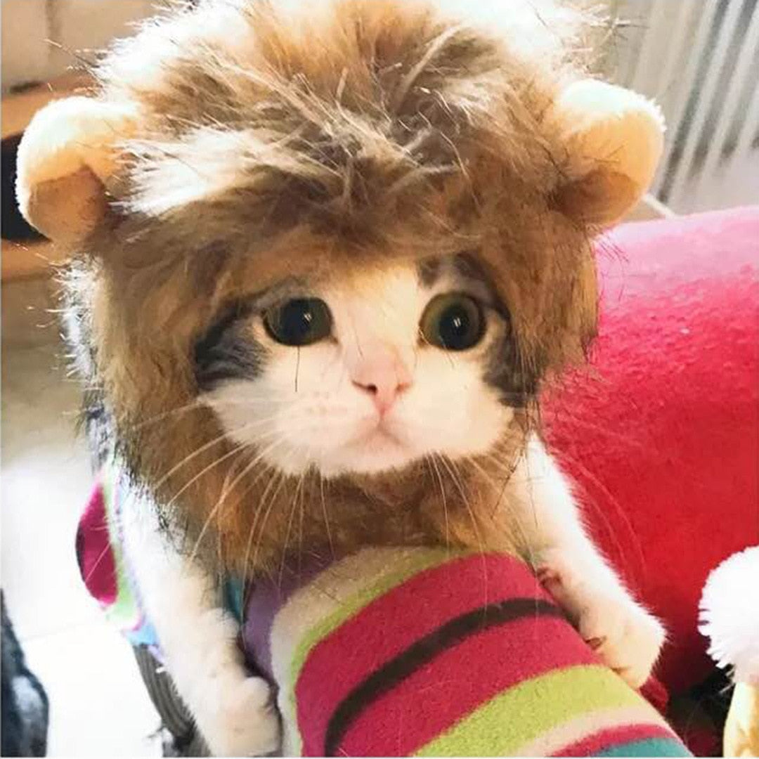 Funny Pet Costume, Lion Mane