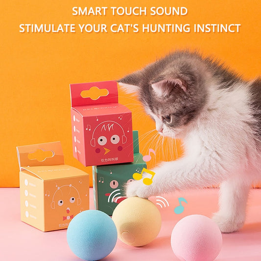 Interactive Squeaky Catnip Ball, Toy