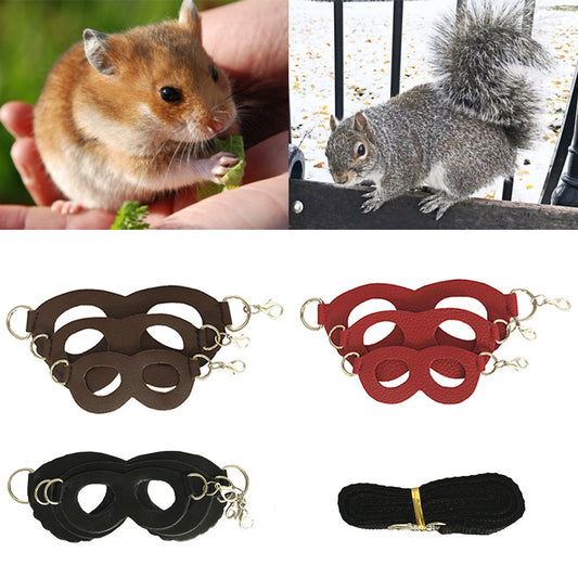 Small Pet Harness with Leash